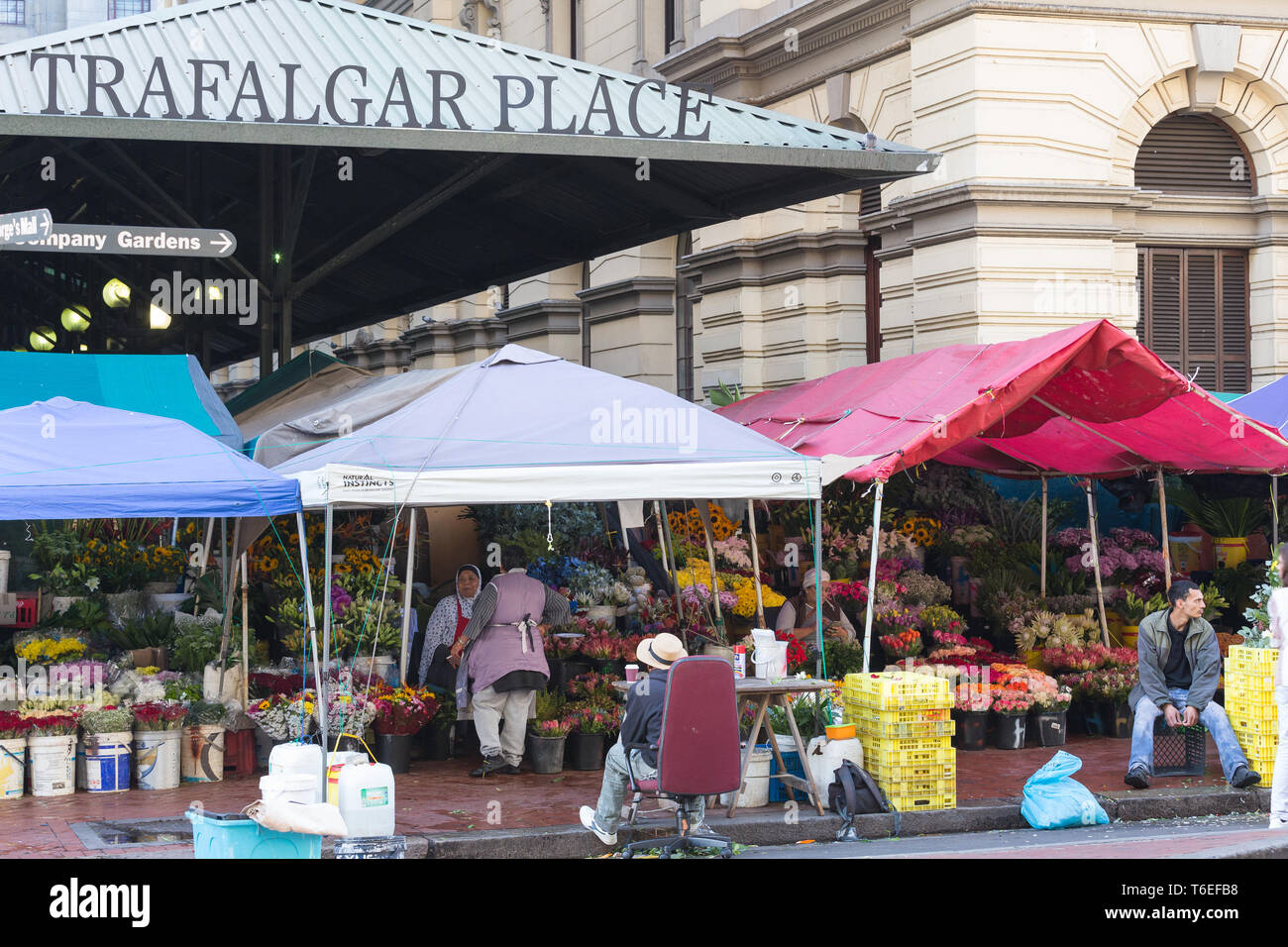 flower market and sellers, vendors or people in Cape Town city centre, South Africa Stock Photo