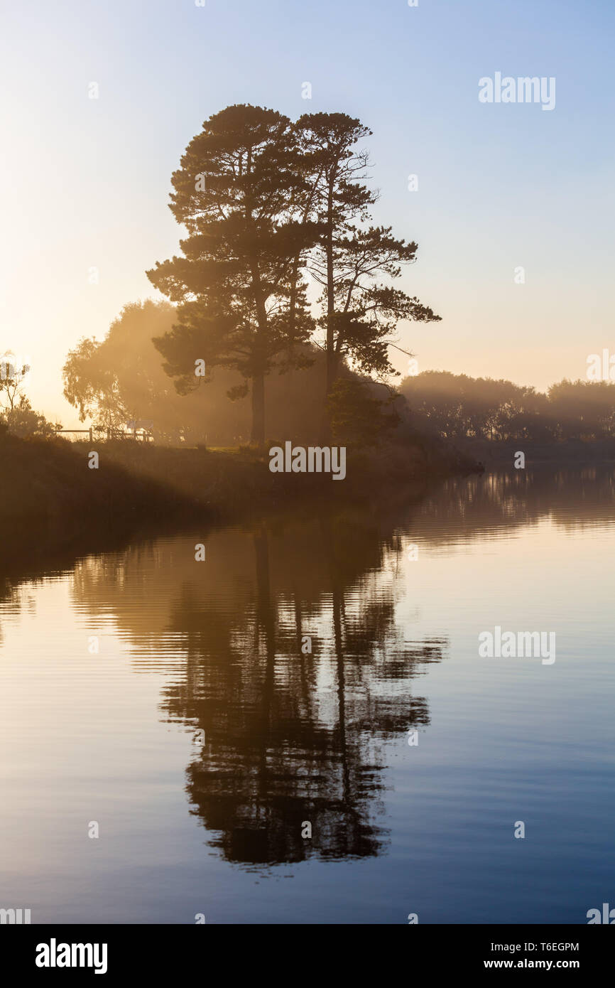 Trees reflecting in calm hi-res stock photography and images - Alamy