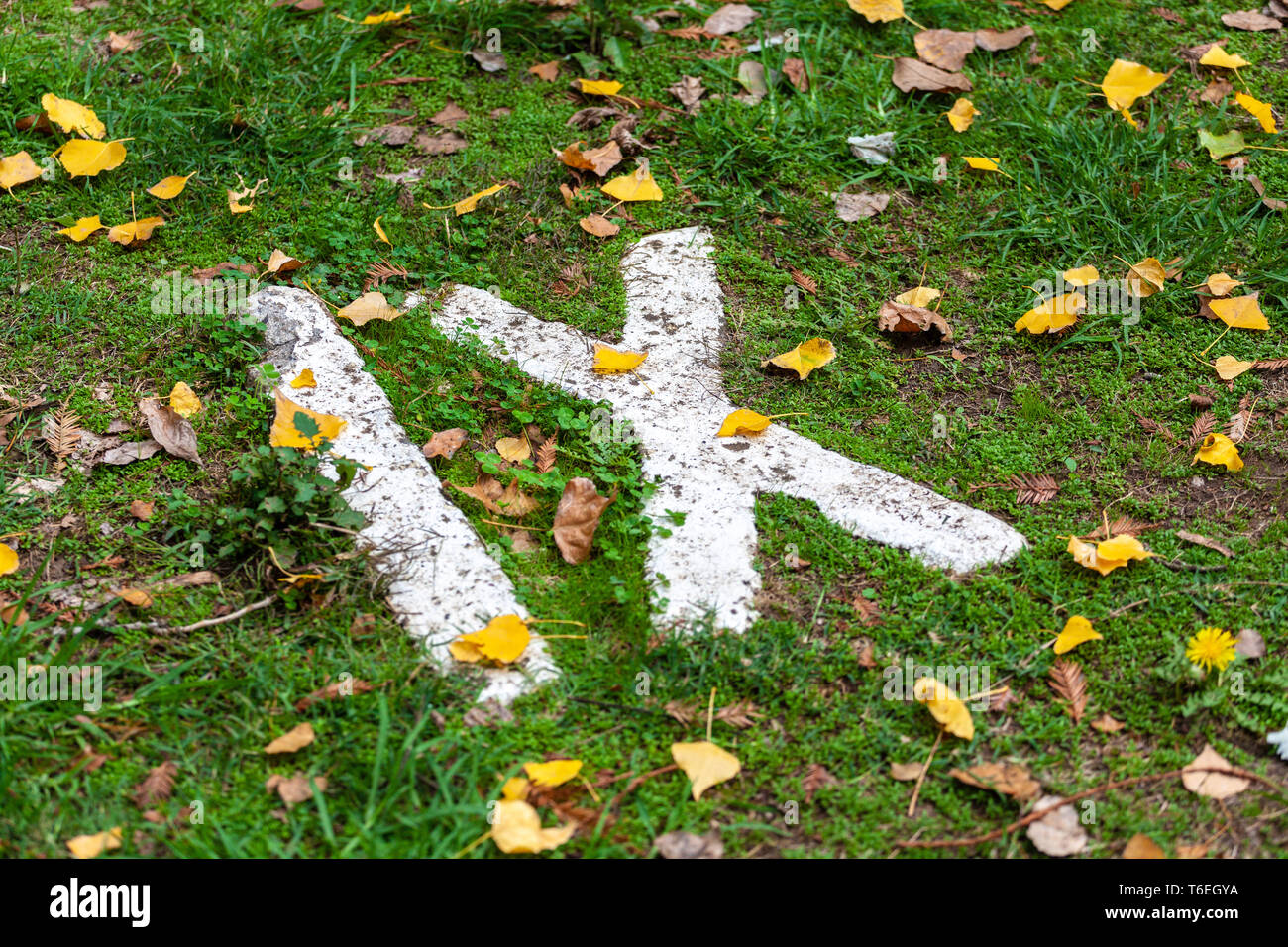 Roman numerals number 9 painted with white paint on grass Stock Photo