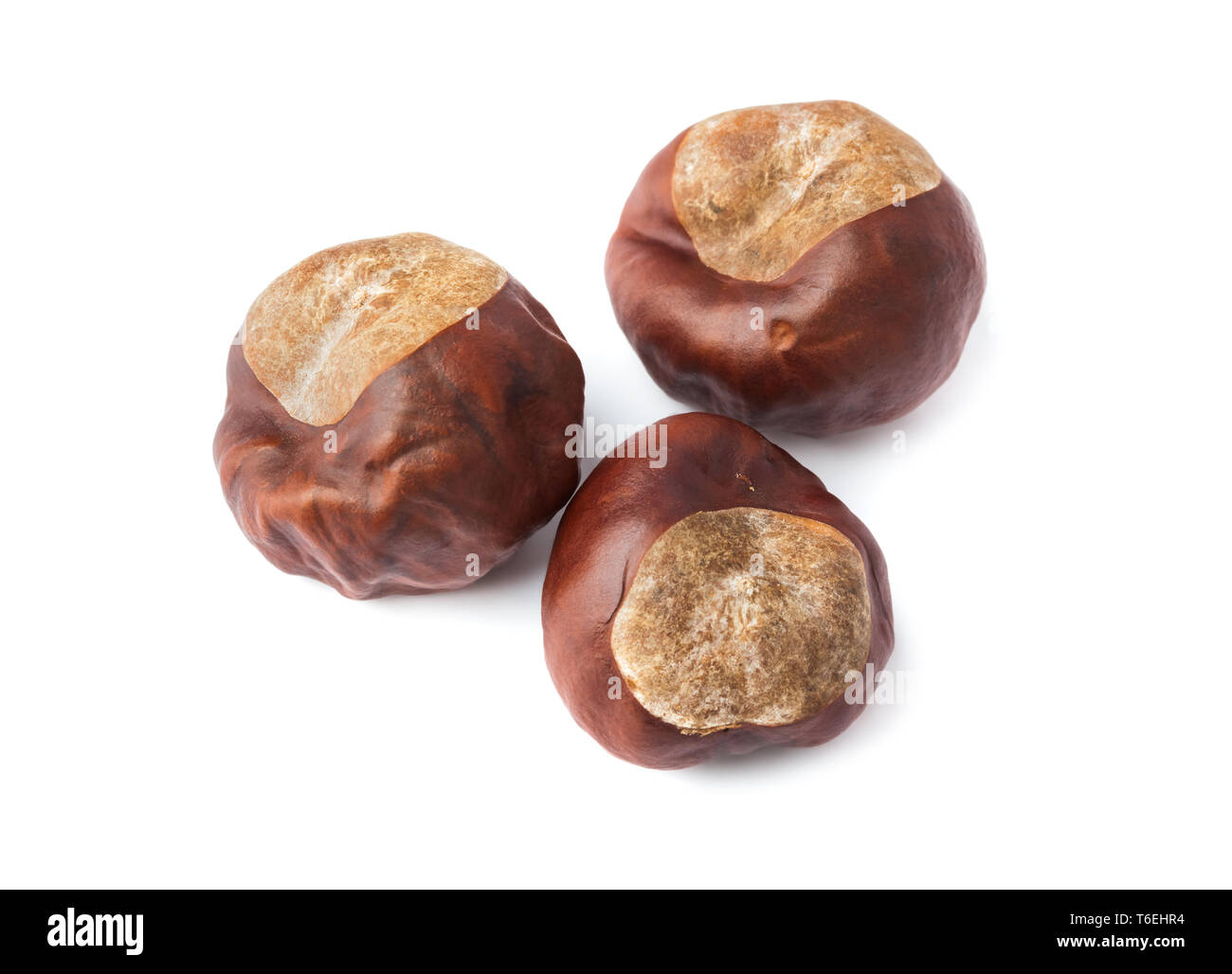 Ripe chestnuts Stock Photo