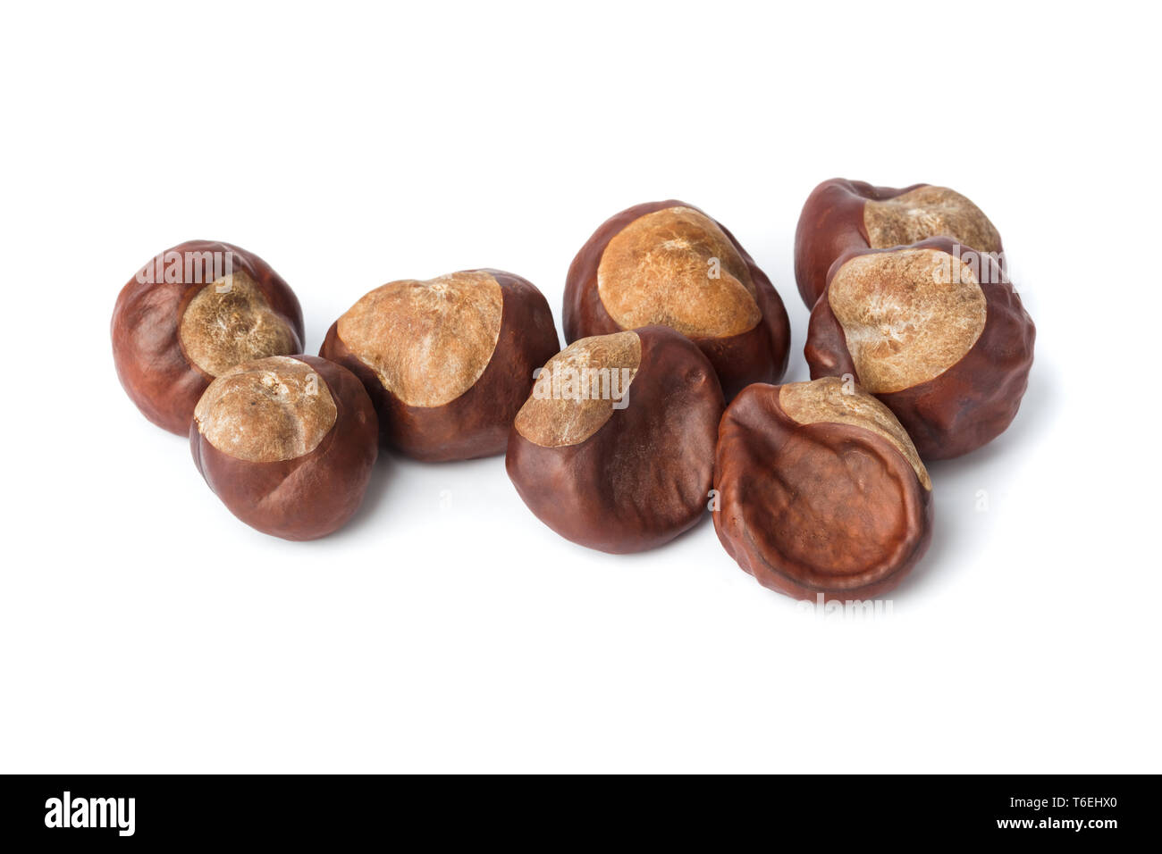 Ripe chestnuts Stock Photo