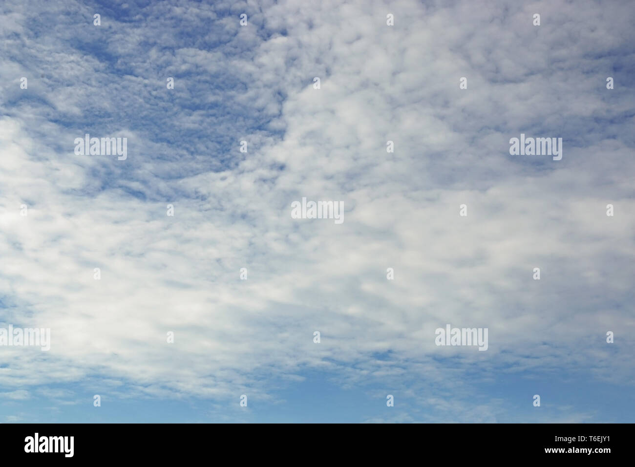 Blue sky background with tiny clouds Stock Photo Alamy