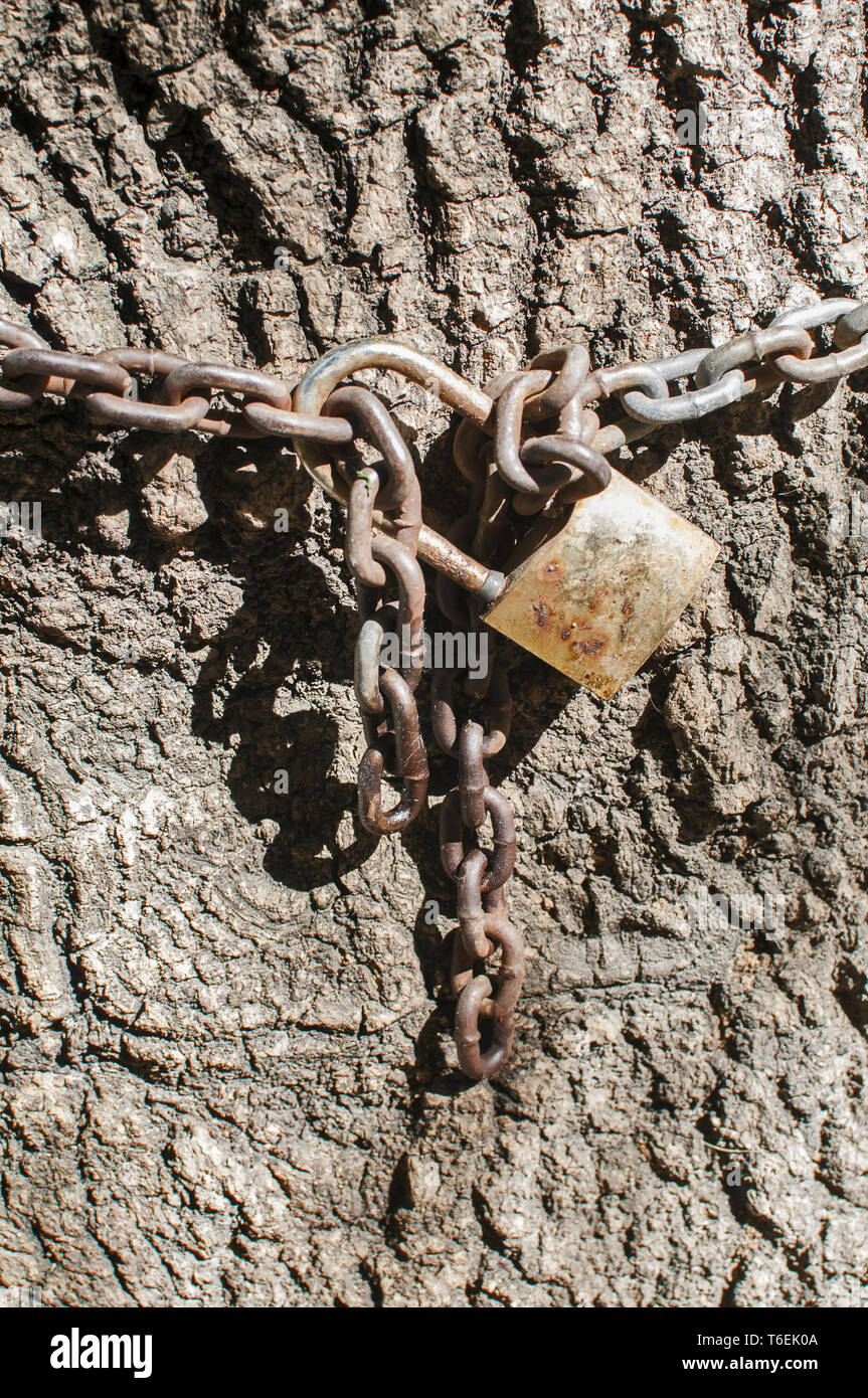 Metal chain with locked padlock Stock Photo