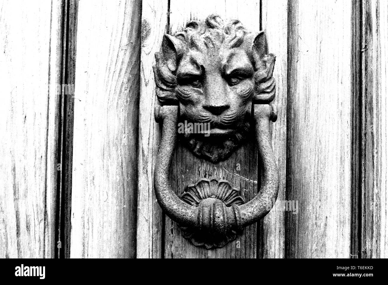 Close-up of brass knocker depicting a lion Stock Photo