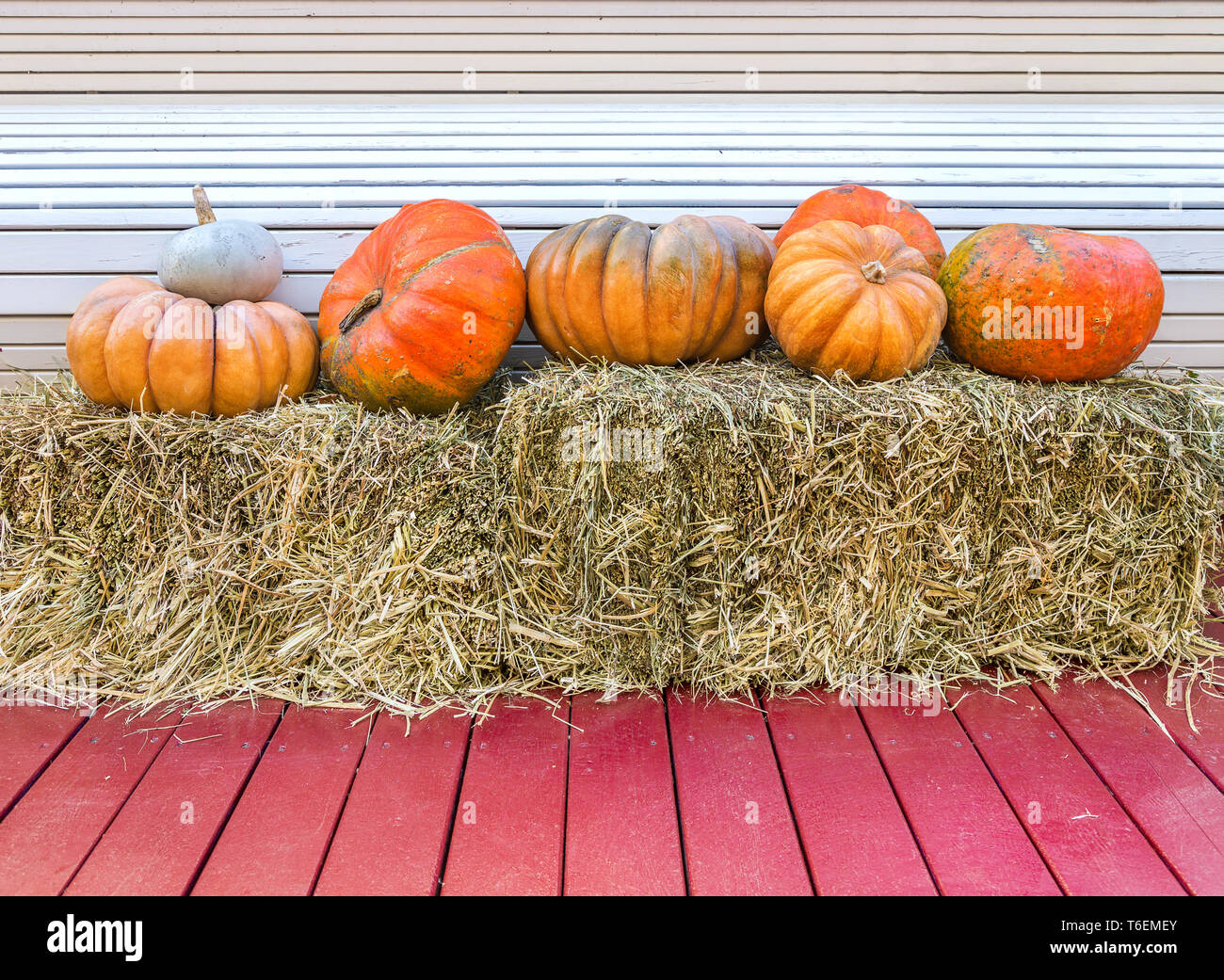Various pumpkins on wooden background Stock Photo