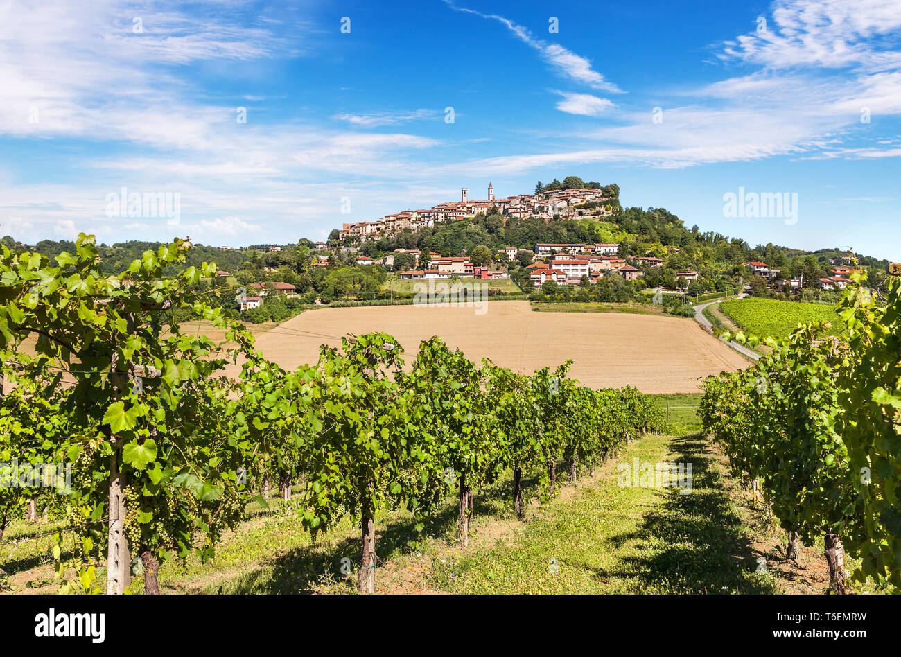 Hilly region of the Langhe with vineyards Stock Photo