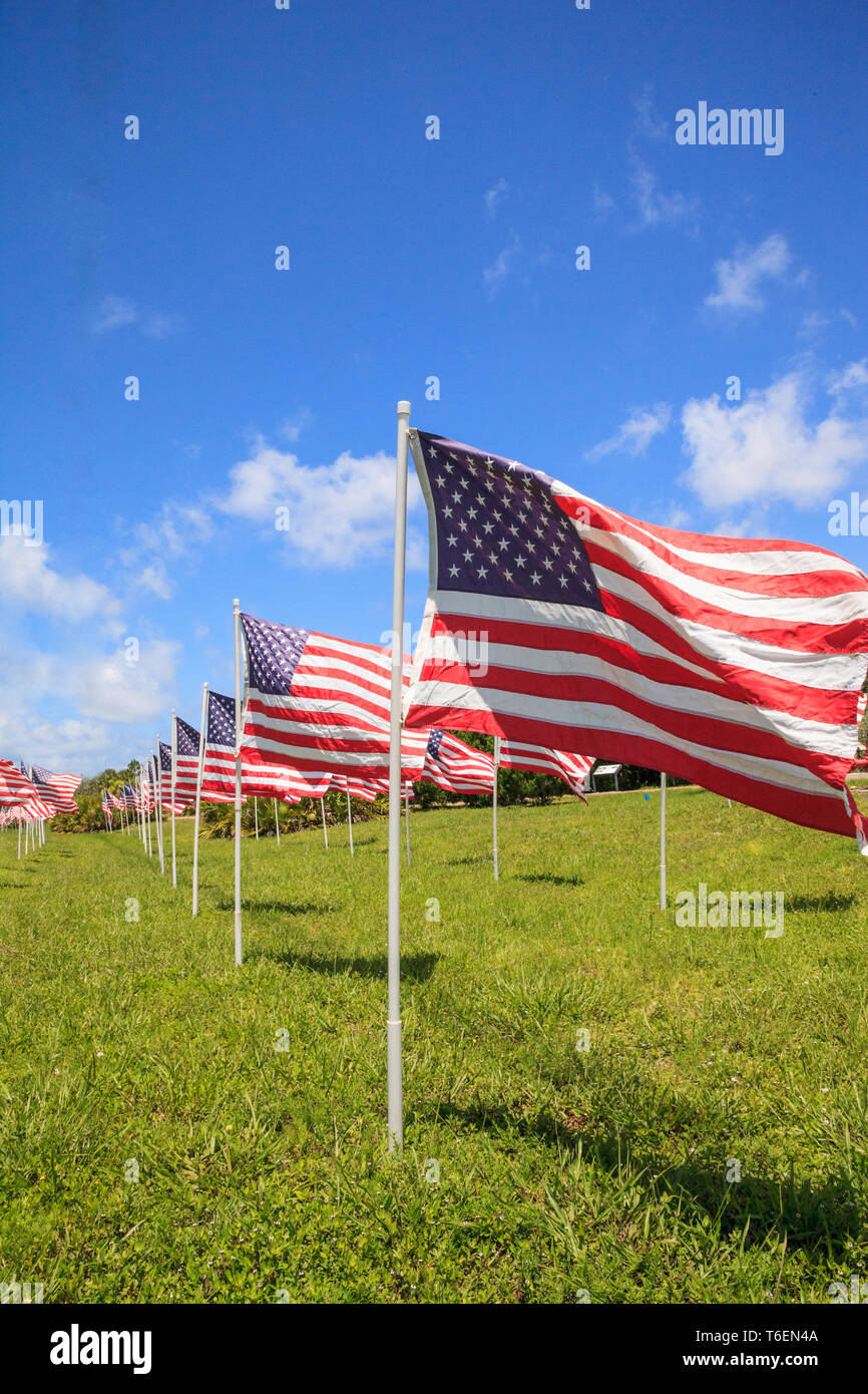 Patriotic display of multiple large American flags Stock Photo Alamy