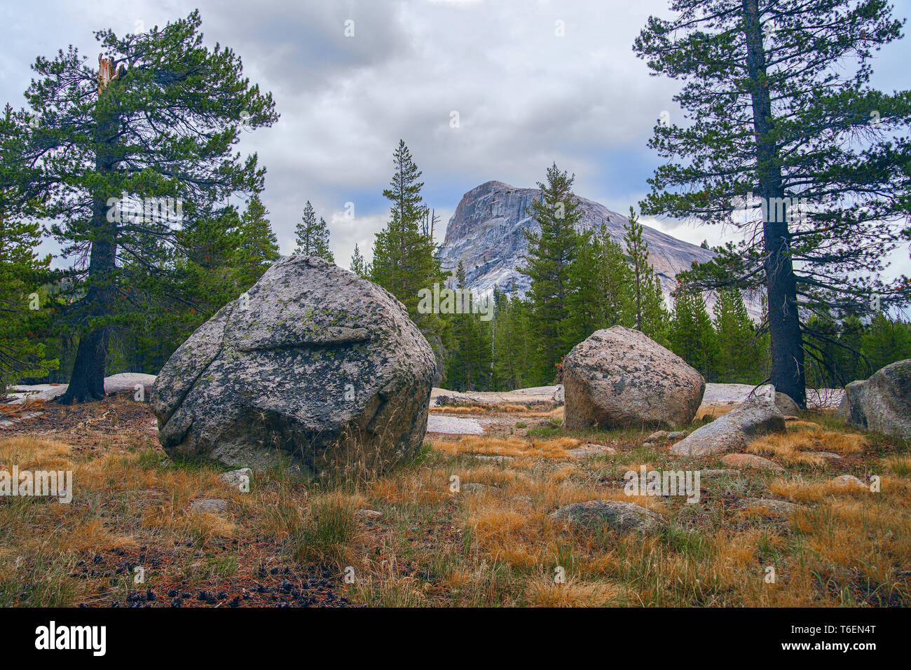 Tuolumne Meadows and Lembert Dome in Yosemite National Park. California. USA Stock Photo