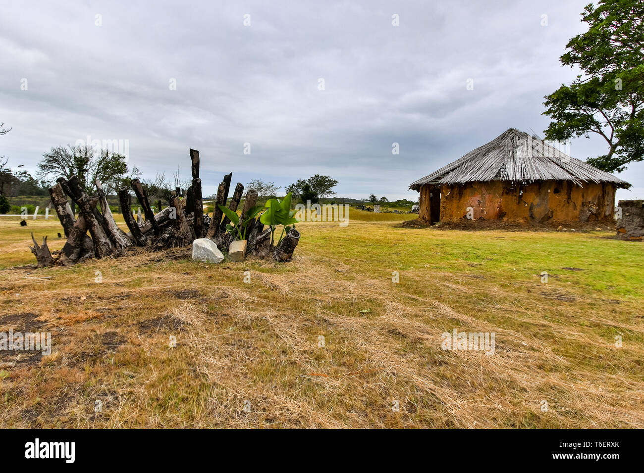 Hut House with dry burnt bark with new leaves Stock Photo
