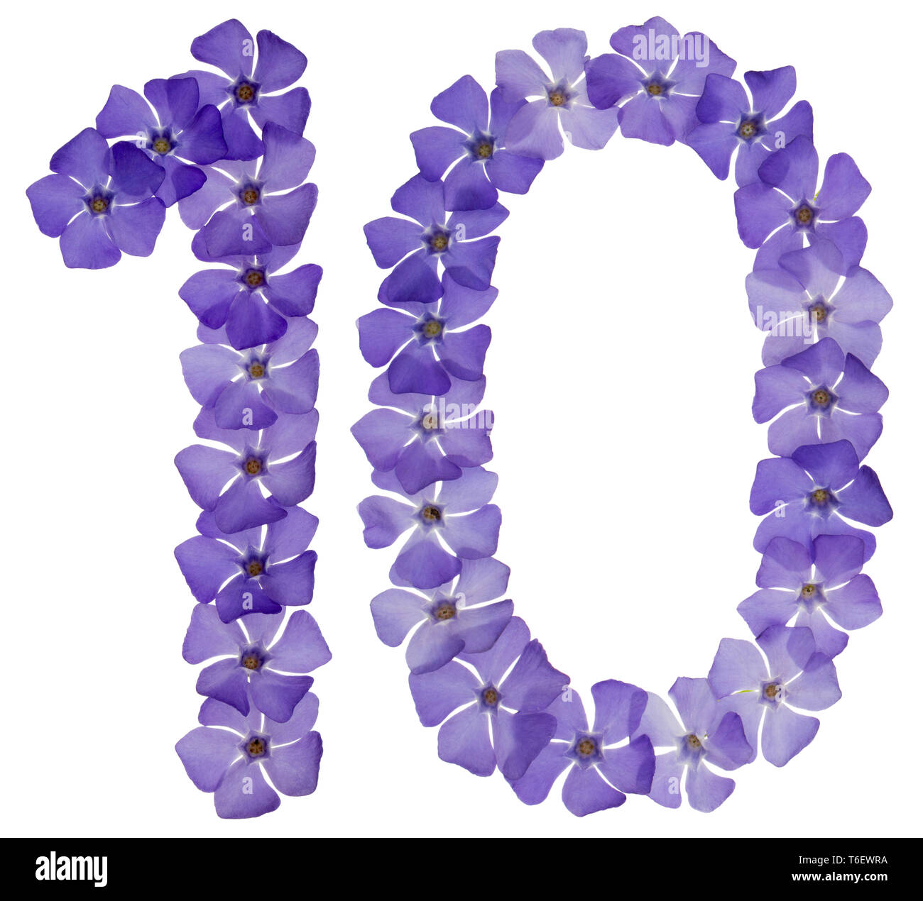 Numeral 10, ten, from natural blue flowers of periwinkle, isolated 