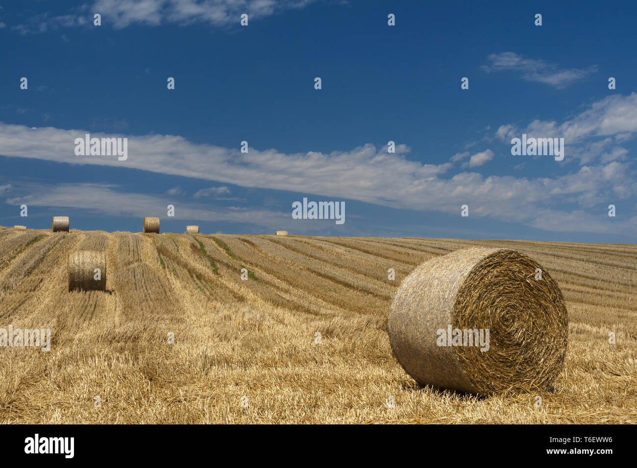 Straw bales on stubble field Stock Photo - Alamy