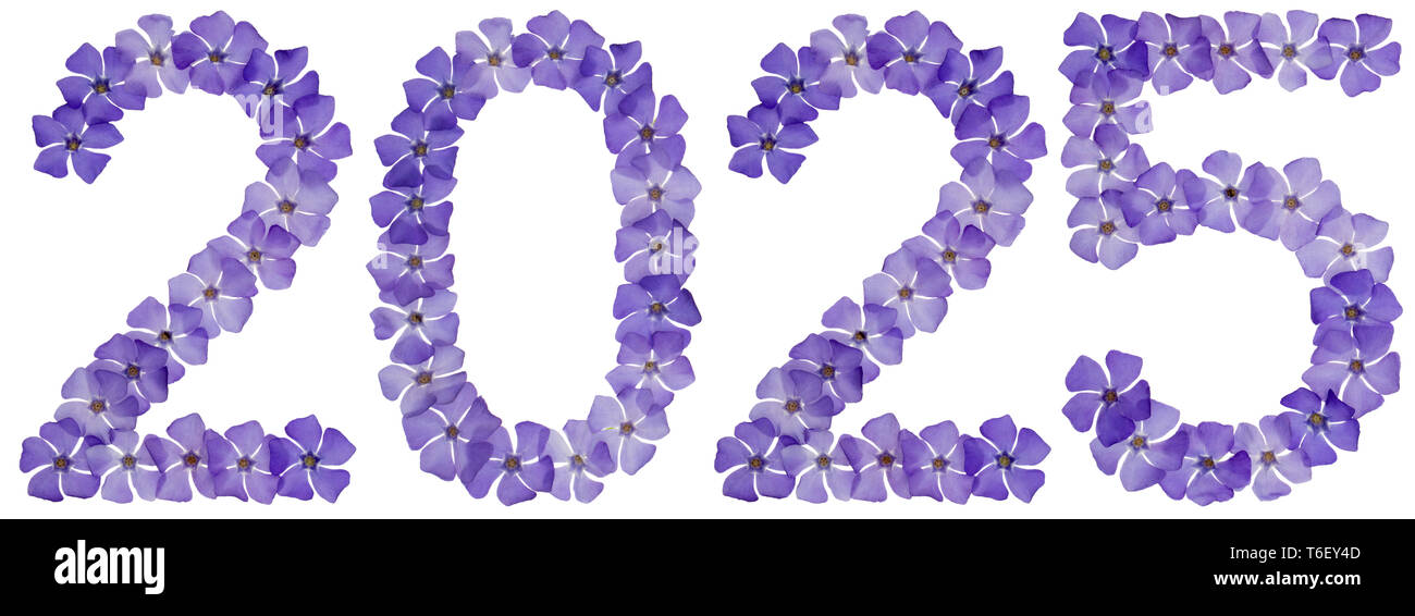 Inscription 2025, from natural blue flowers of periwinkle, isolated on