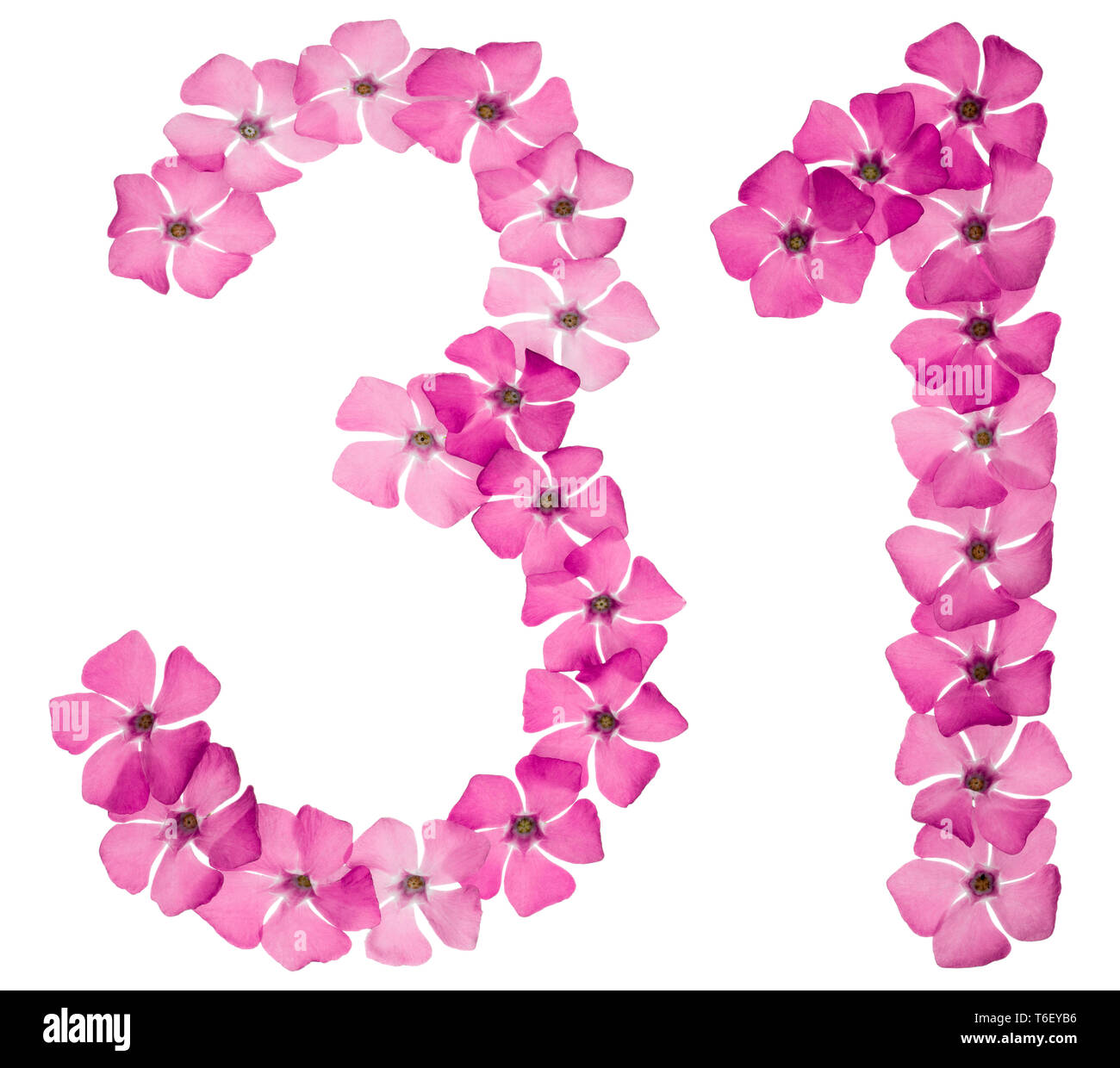 Numeral 31 thirty one from natural pink flowers of periwinkle Numeral 31 thirty one from natural pink flowers of periwinkle