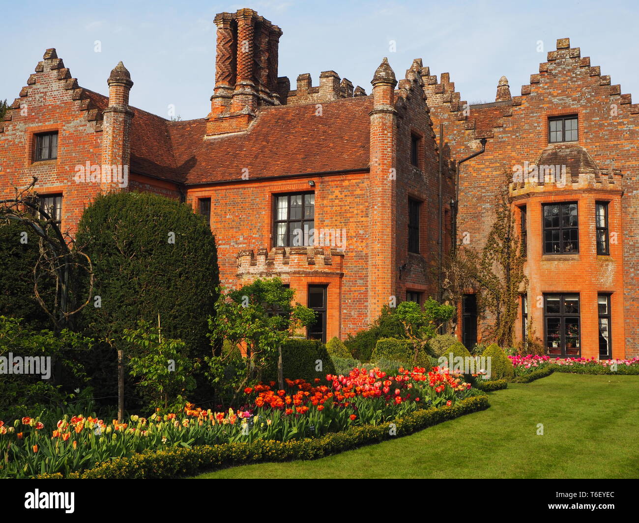 Chenies Manor House and Gardens in April showing colourful tulip borders in full bloom with sunny lawn. blue sky and chimneys. Stock Photo