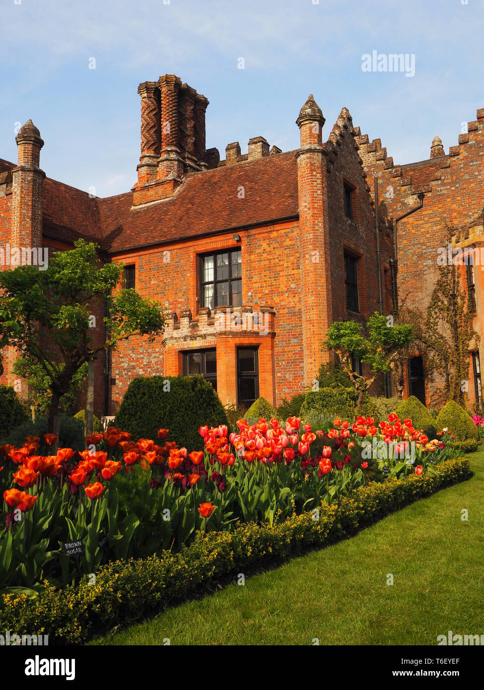 Chenies Manor House and Gardens in April showing colourful tulip borders. Portrait aspect of Chenies Manor house in the sun edged with tulip borders. Stock Photo