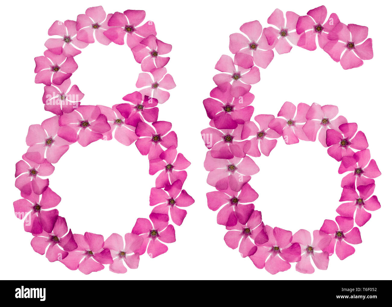 Number 86 Pattern Numeral 86, eighty six, from natural pink flowers of periwinkle ...