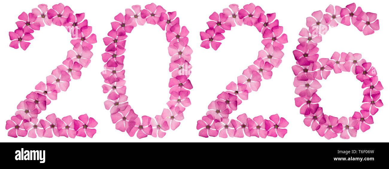 Inscription 2026, from natural pink flowers of periwinkle, isolated on