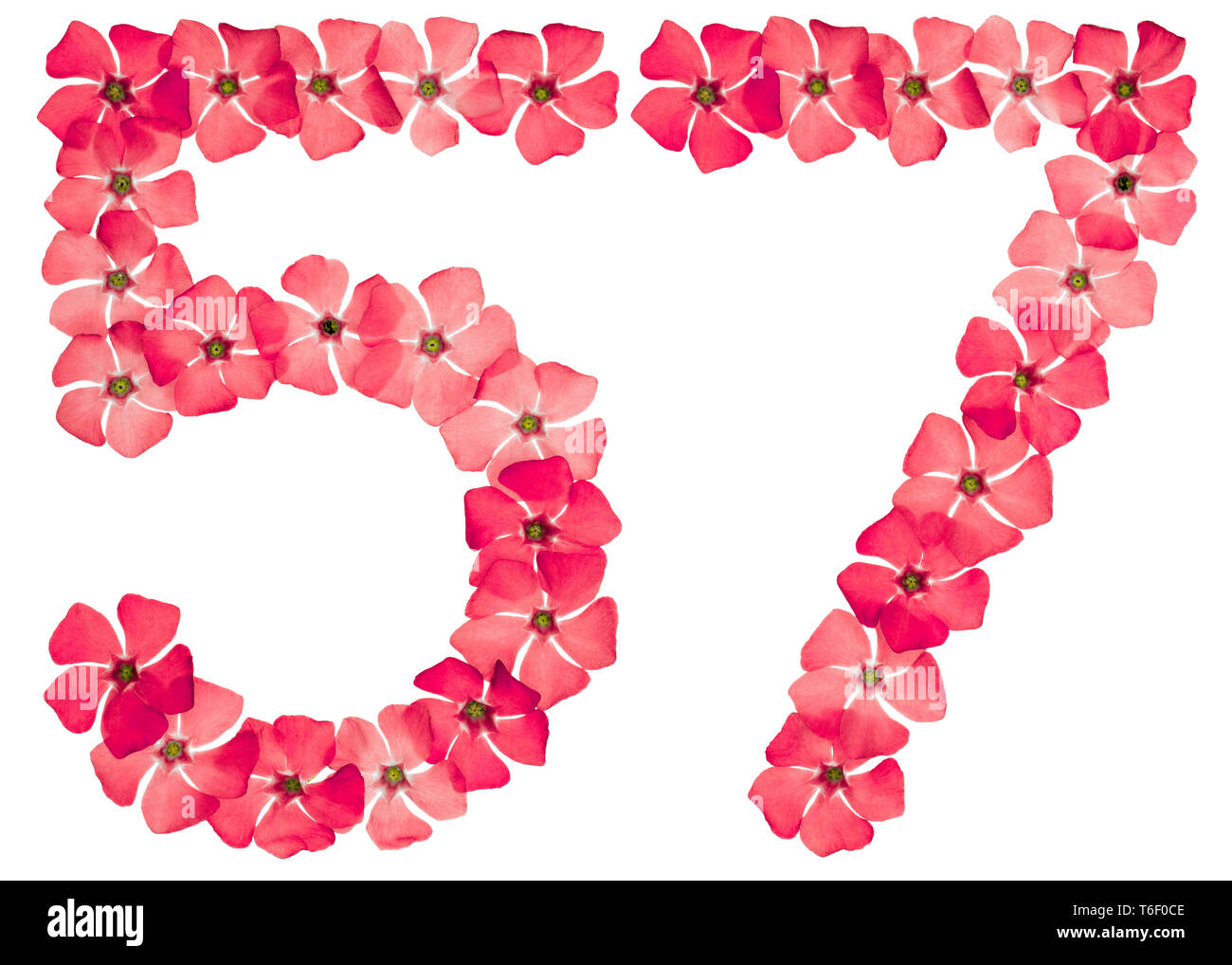 Tag 57 Numeral 57, fifty seven, from natural red flowers of periwinkle ...