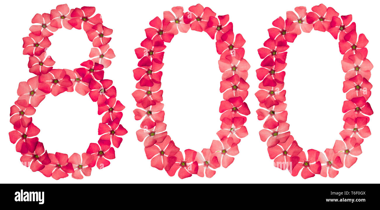Numeral 800, eight hundred, from natural red flowers of periwinkle ...