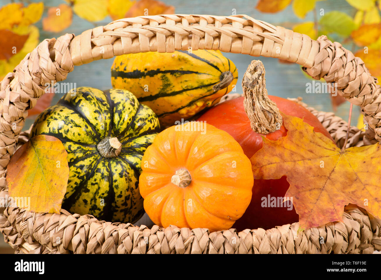 Autumn decoration with pumpkin and leaves Stock Photo