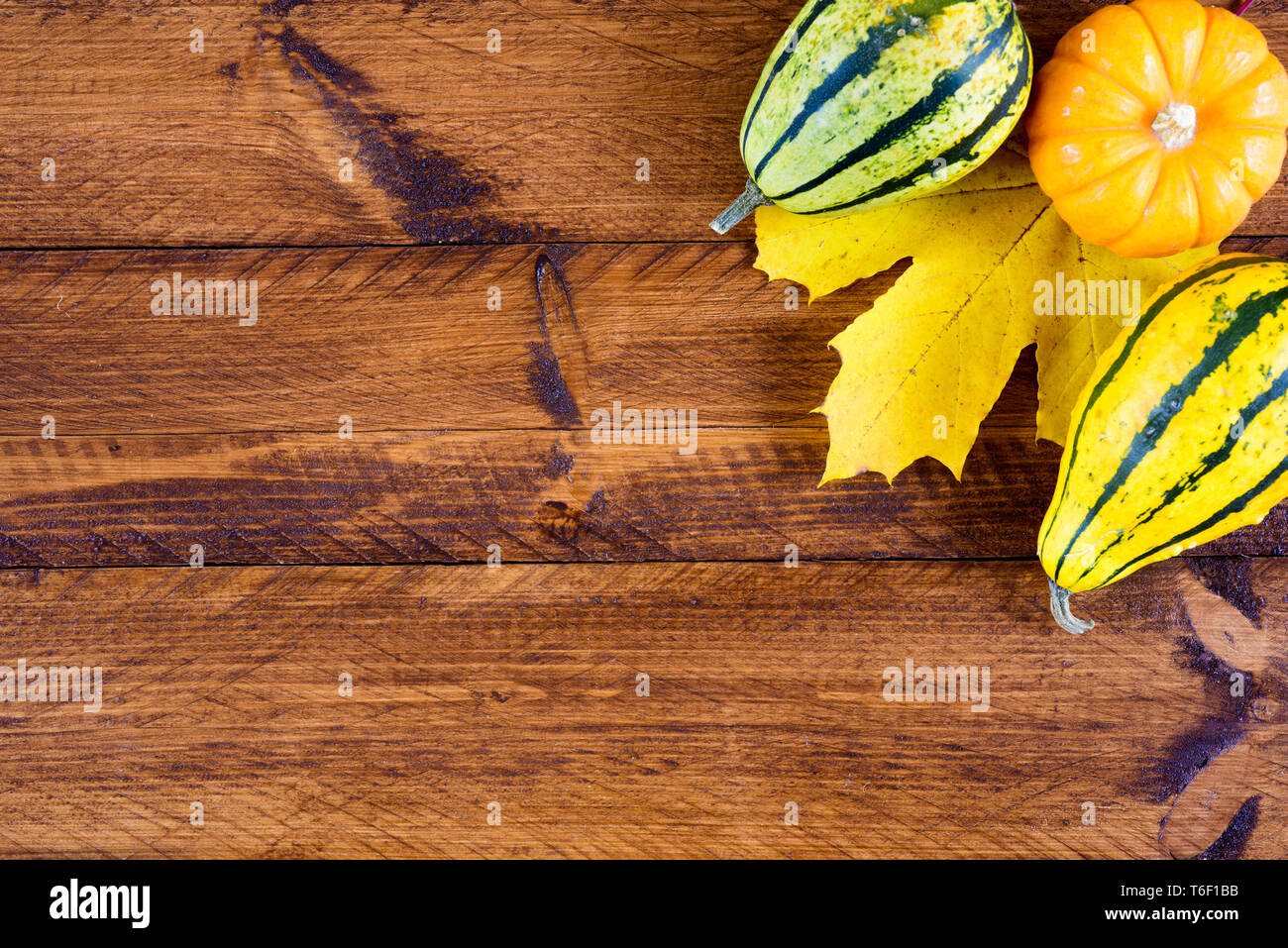 Autumn decoration with pumpkin and leaves Stock Photo