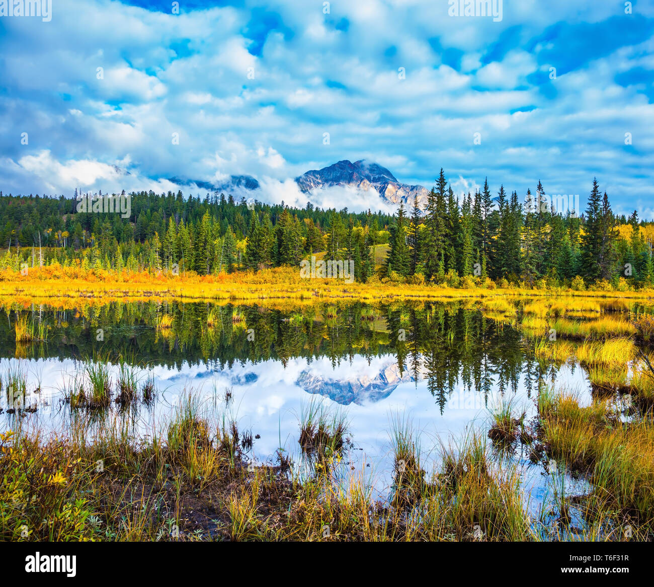 Rocky mountains forest canada hi-res stock photography and images - Alamy