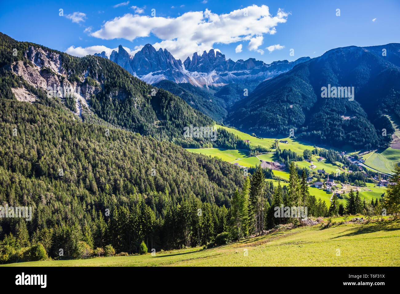 The green Alpine meadows Stock Photo Alamy