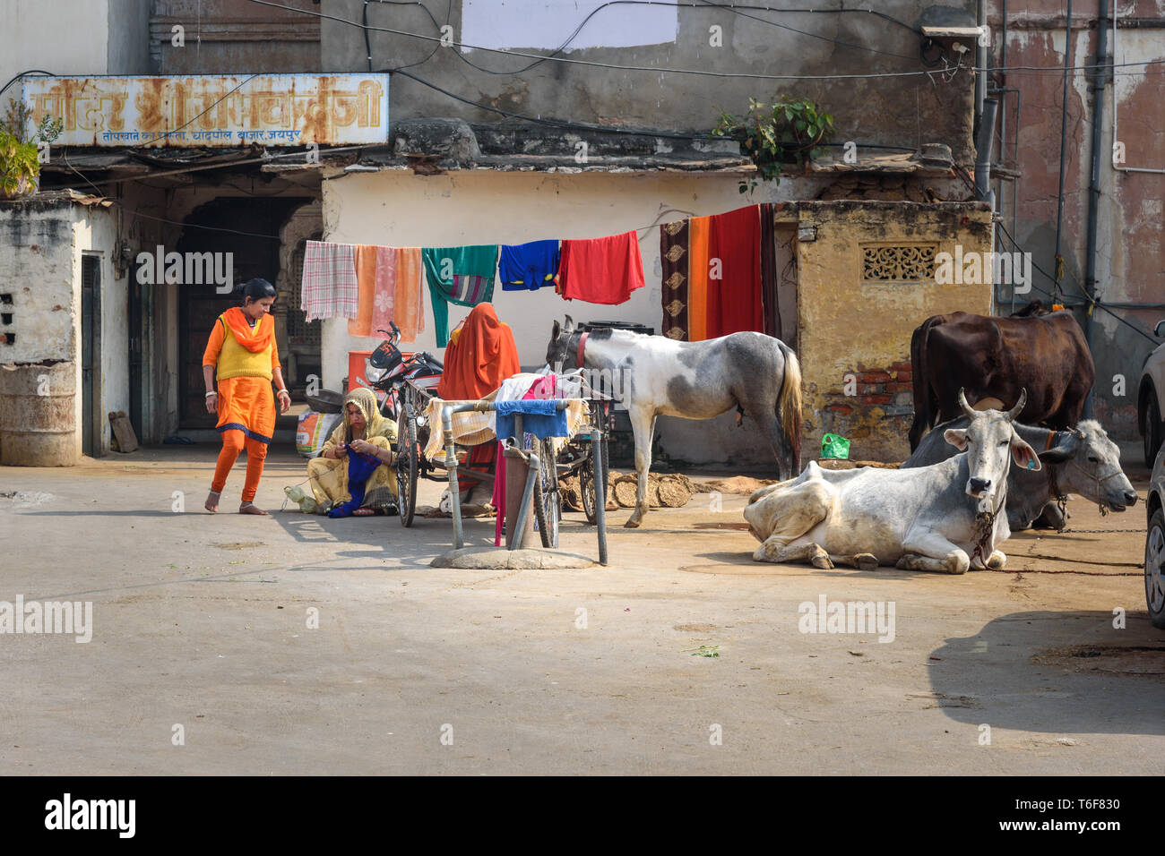 Girl with cow dung hi-res stock photography and images - Alamy
