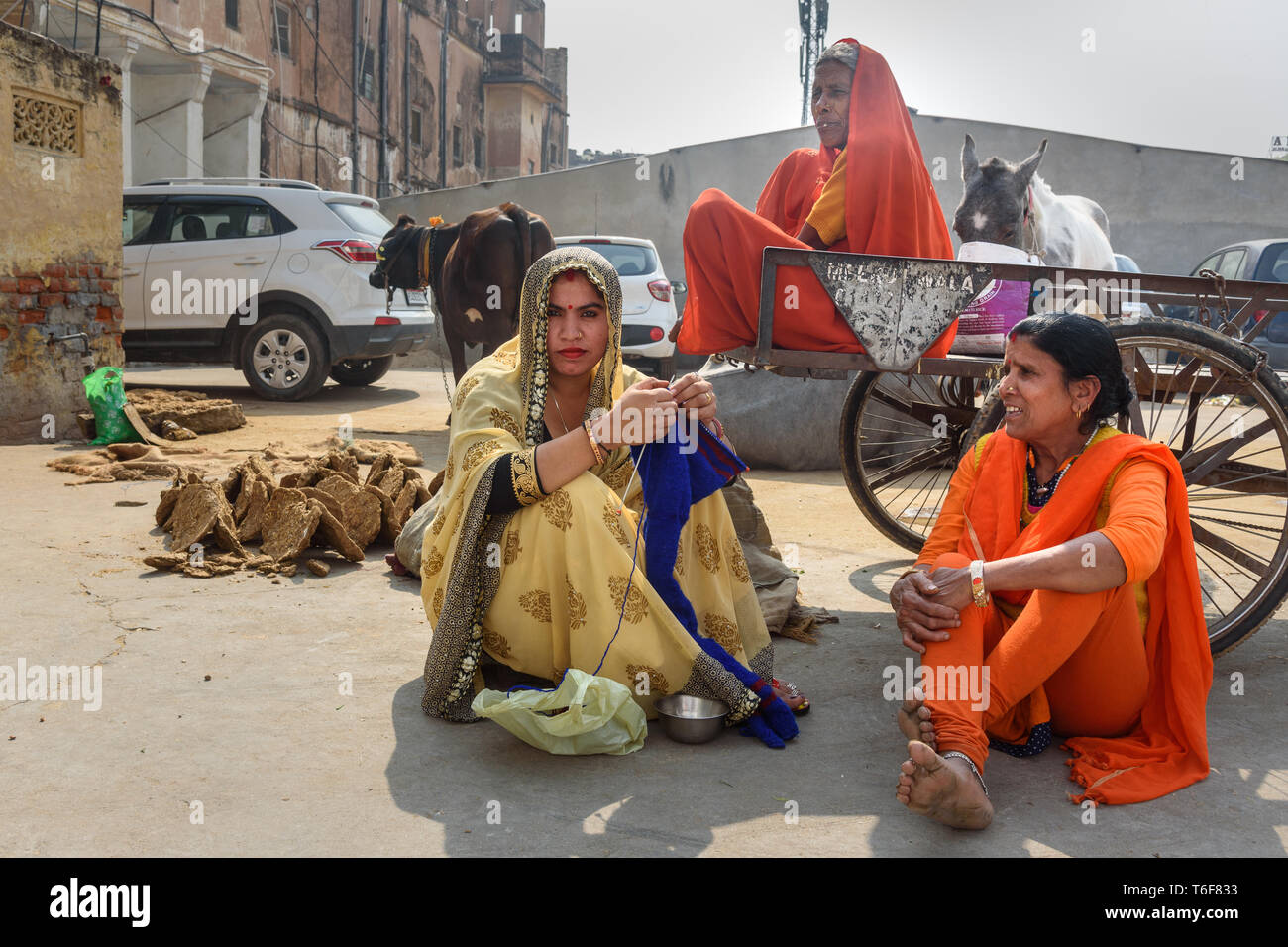 Girl with cow dung hi-res stock photography and images - Alamy