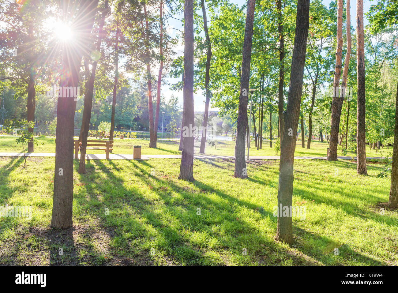 Park bench in the sun hi-res stock photography and images - Alamy