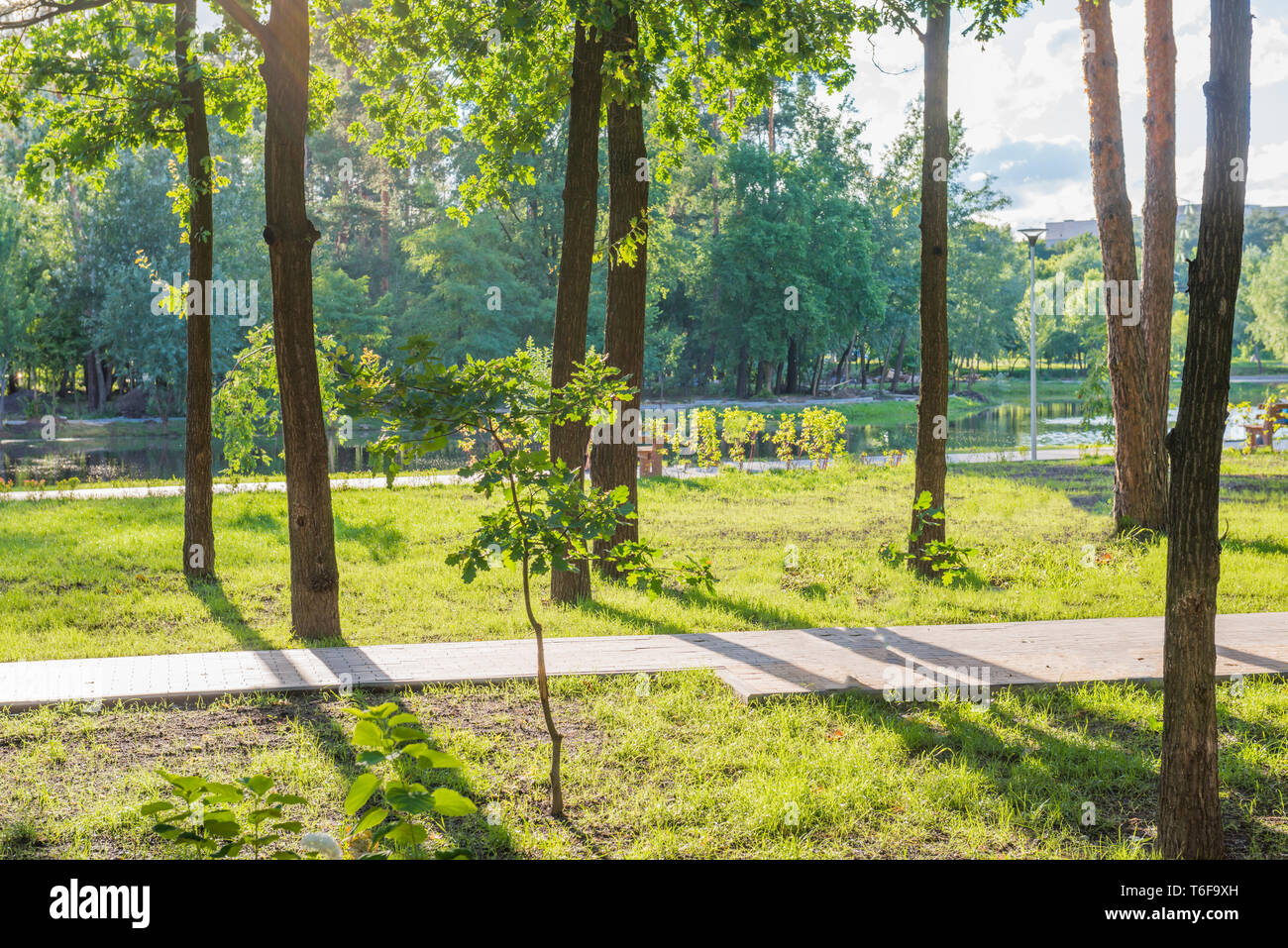 People relax in the sun in green park hi-res stock photography and ...