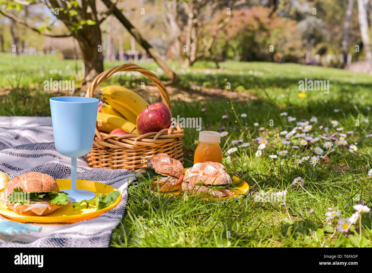 A basket of fruit and sandwiches for a picnic outdoors in the park ...