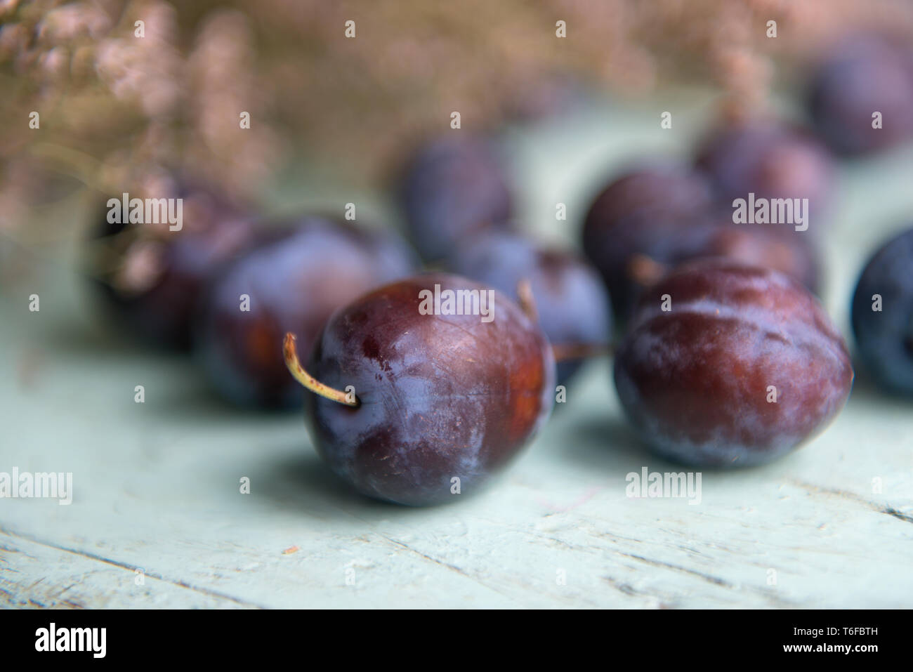 Plum. Fresh plum. Harvest. Autumn harvest. Autumn. Blue plums. Yellow plum. Stock Photo