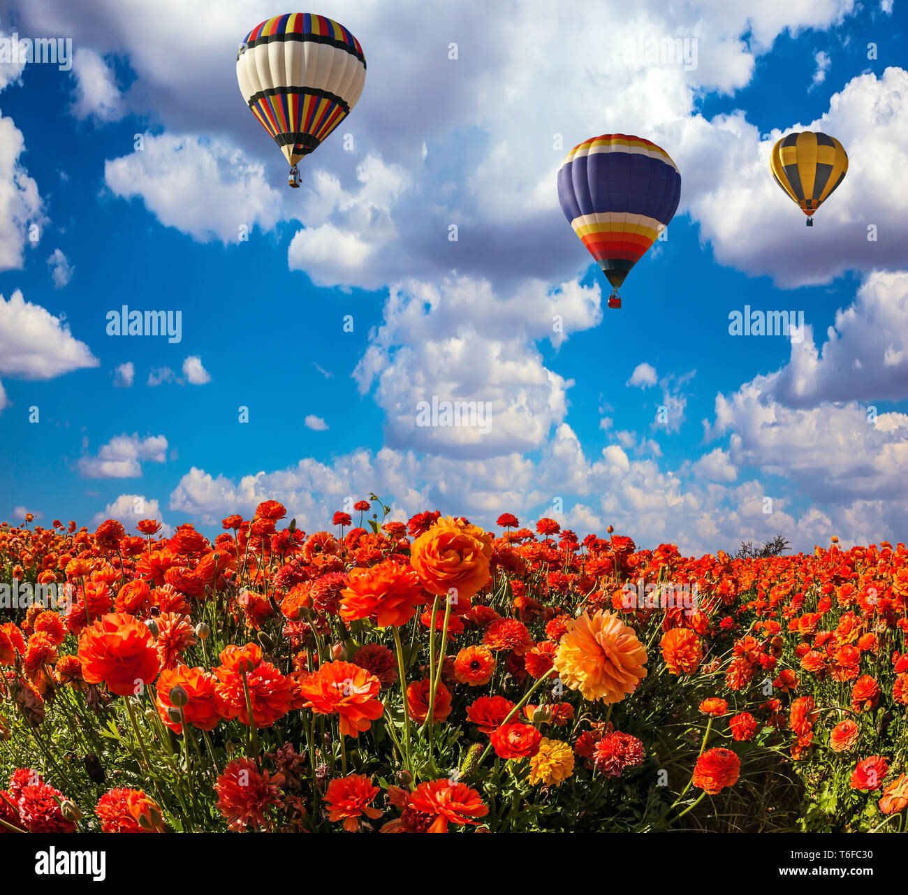 Two multi-color balloons flying Stock Photo - Alamy