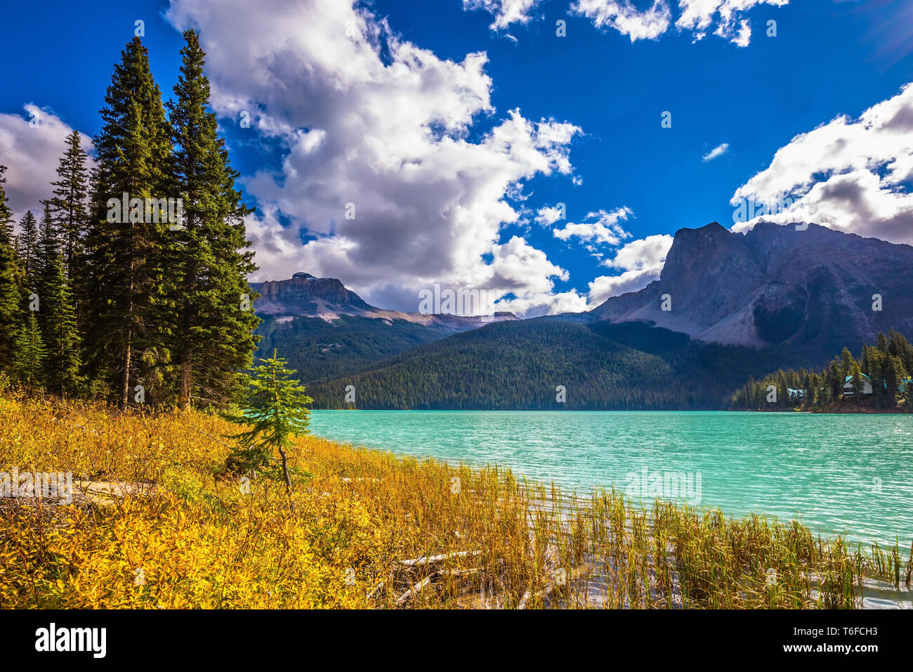 Reflection coniferous forest water hi-res stock photography and images ...