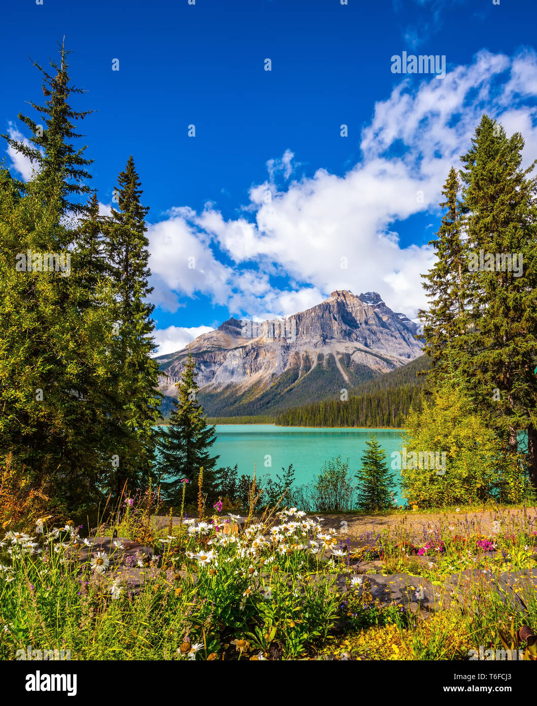 Yoho National Park, Canada Stock Photo - Alamy