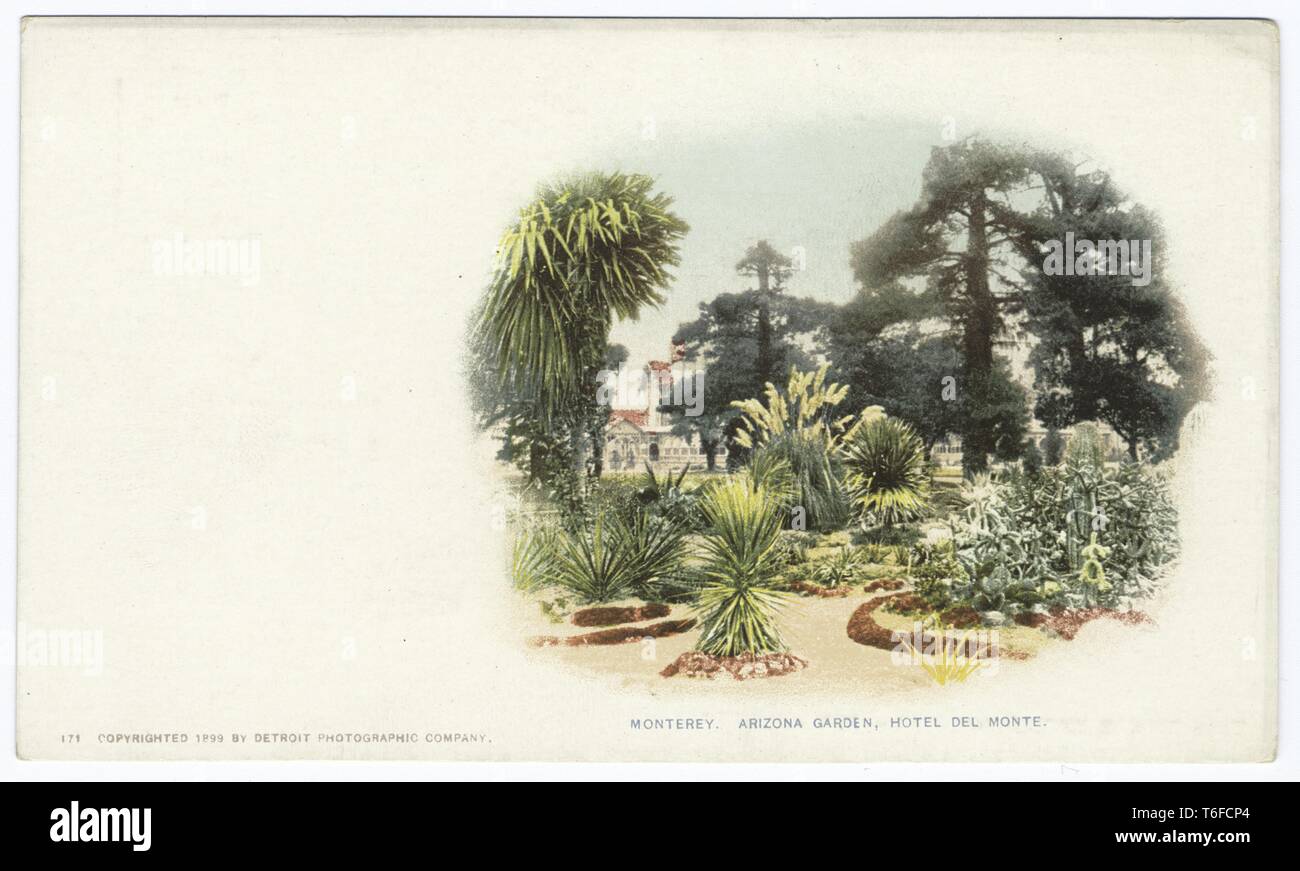 Detroit Publishing Company vintage postcard reproduction of the Arizona Gardens in Hotel Del Monte, Monterey, California, 1899. From the New York Public Library. () Stock Photo