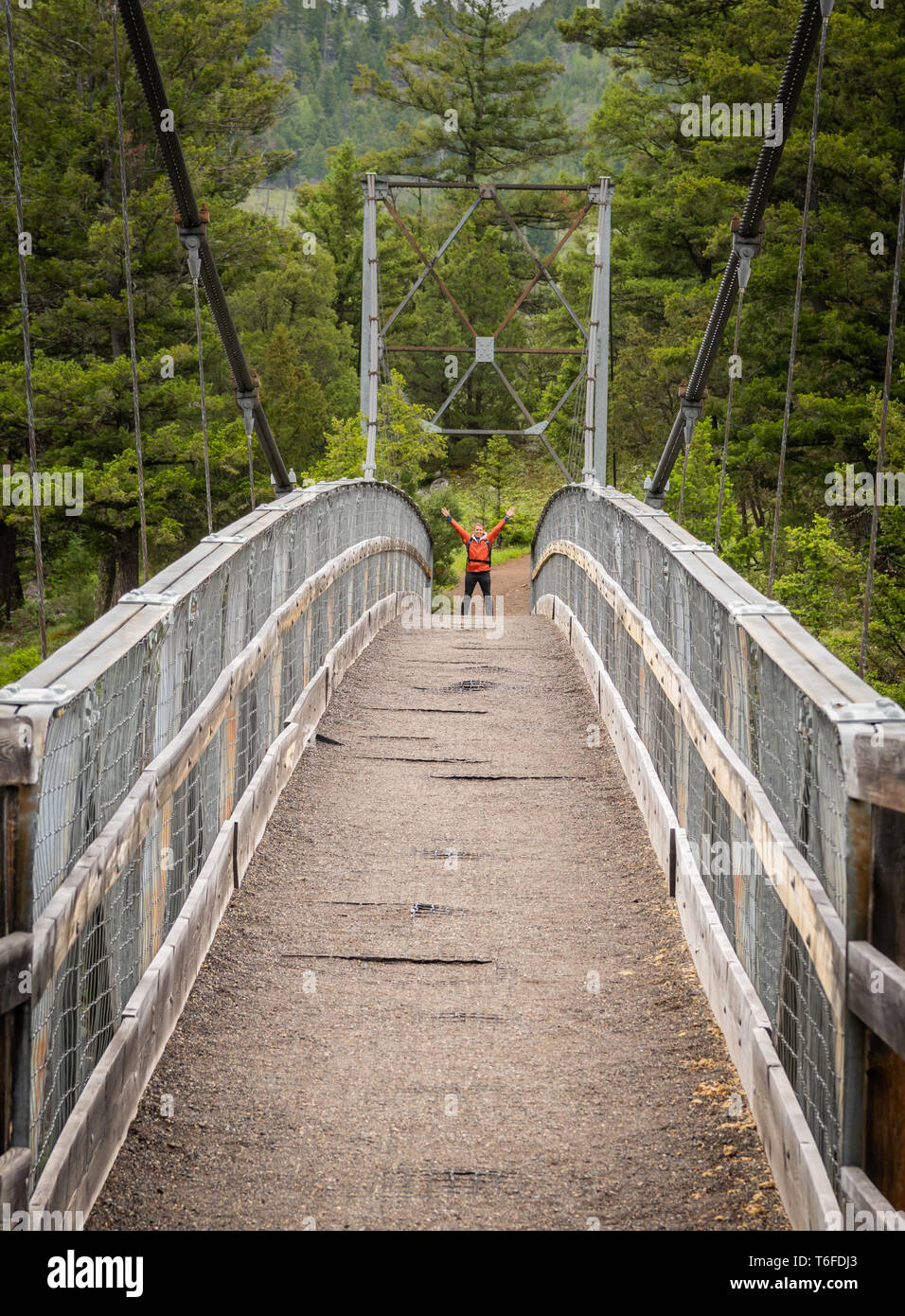 Man Holds up Arms Across Suspension Bridge in Yellowstone Stock Photo