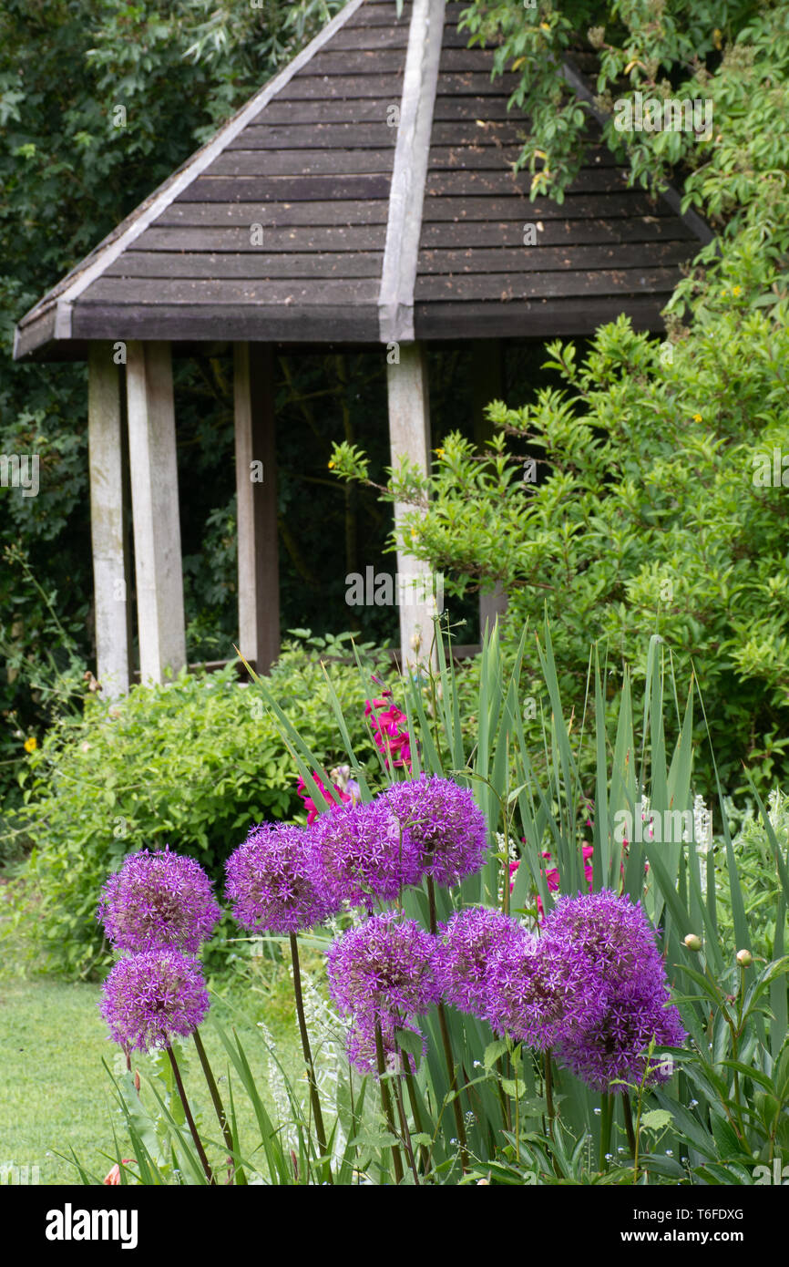 Small English Summer House with Alliums Stock Photo