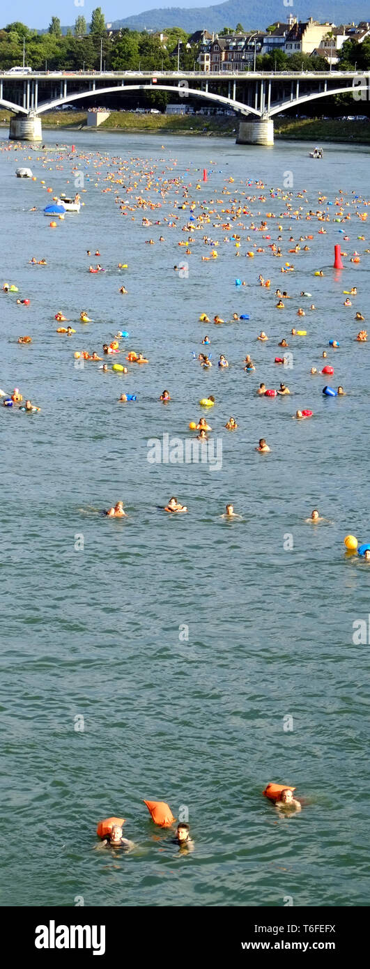 Swimmer in the River Rhine Stock Photo