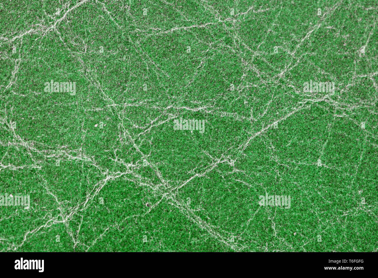 Green leather texture background Stock Photo