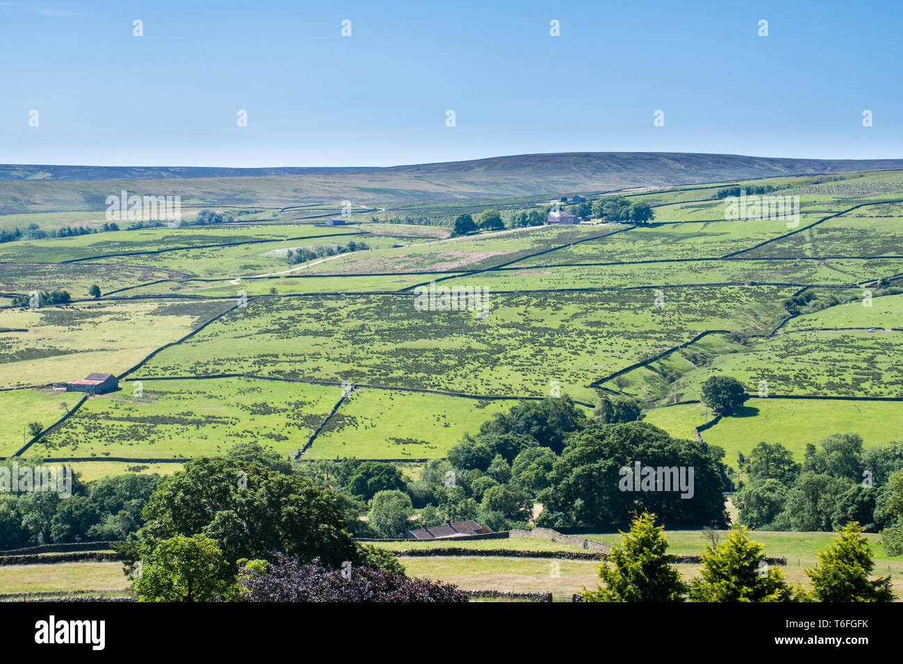 View of low hills across Yorkshire Dales Stock Photo