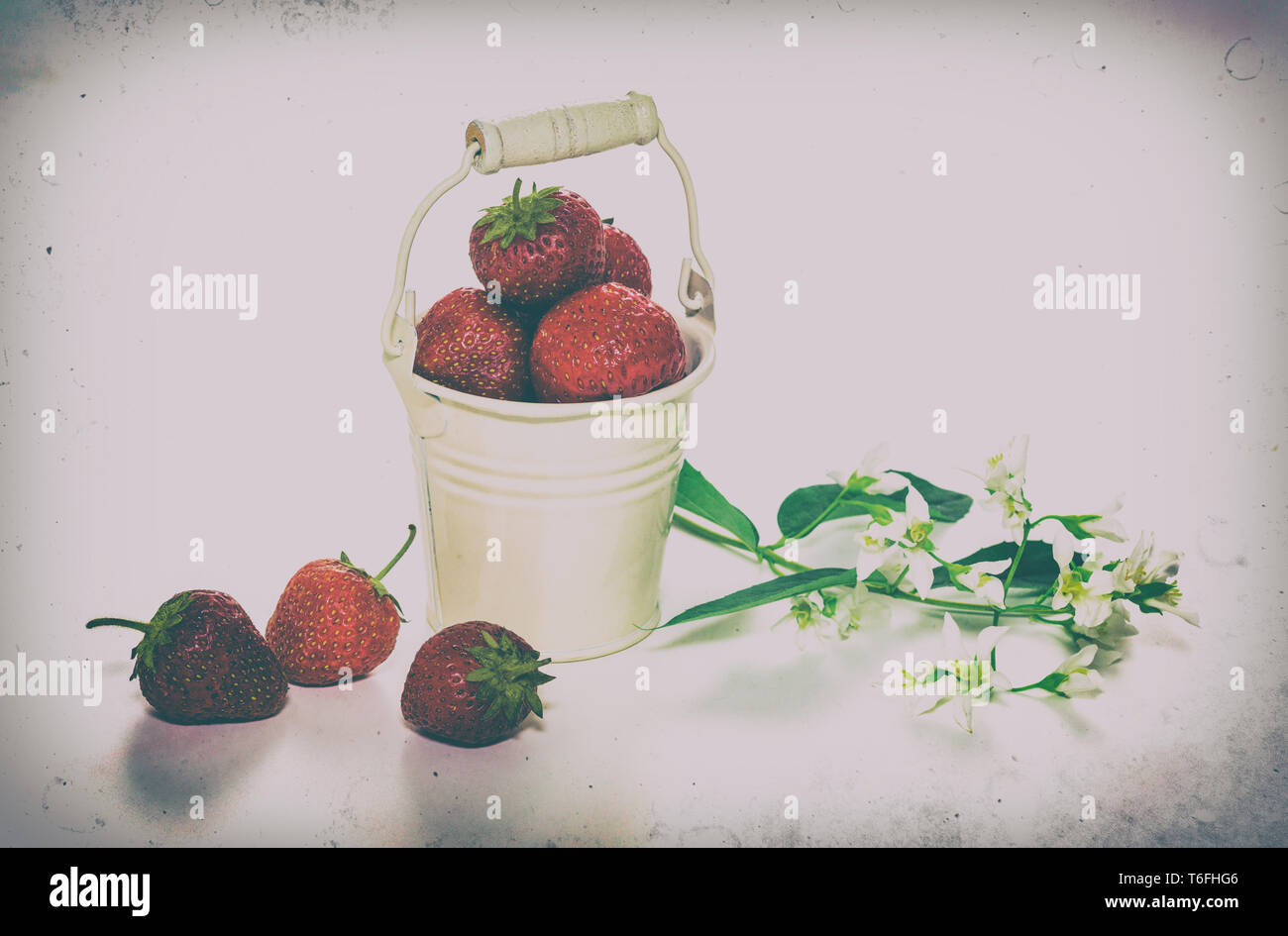 Strawberries in white bucket hi-res stock photography and images - Alamy