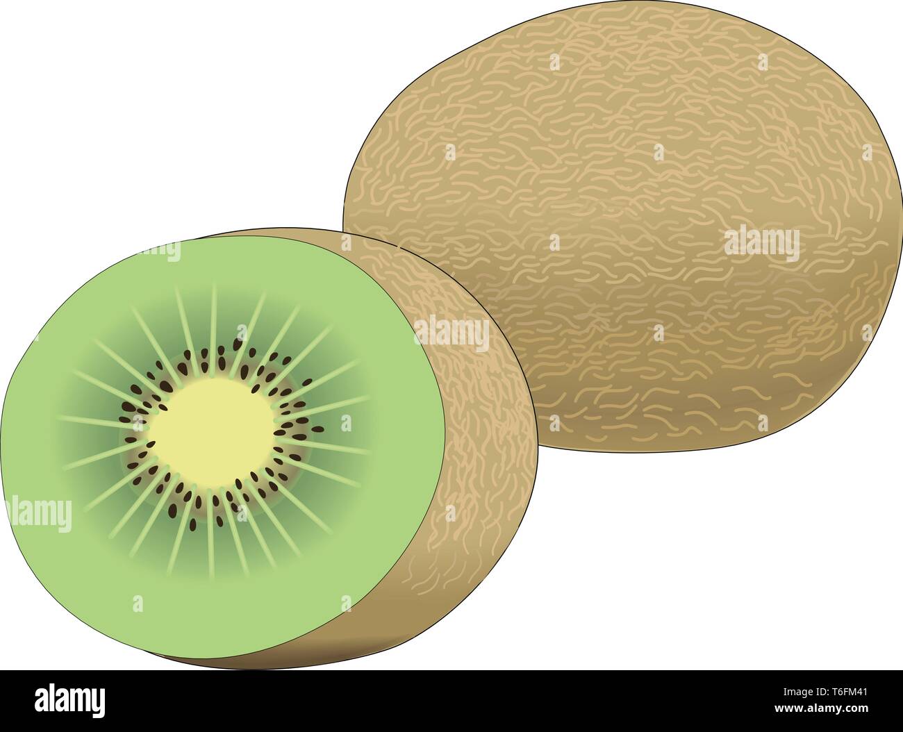 Kiwi Fruit Vector Illustration Stock Vector
