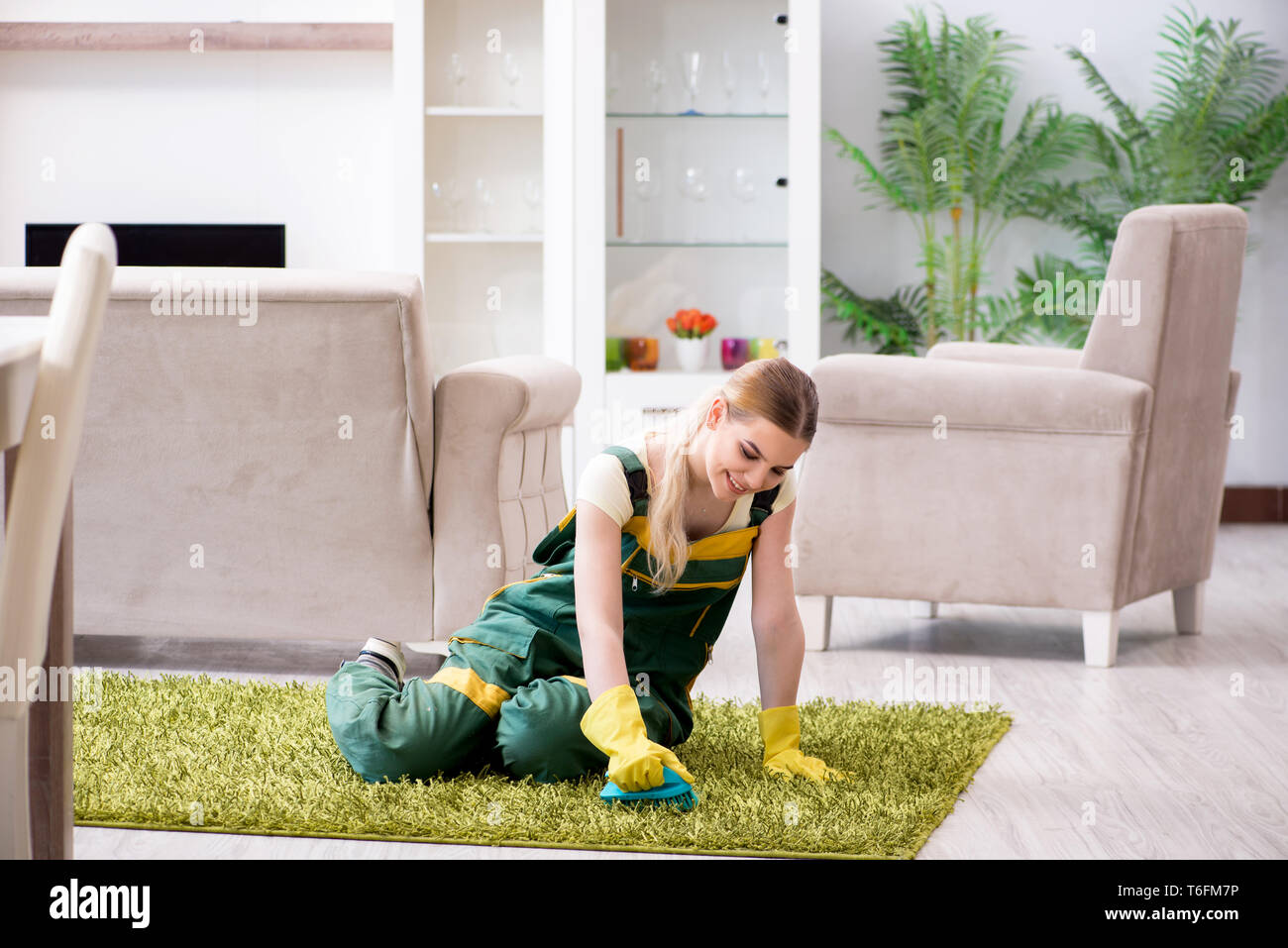 Professional female cleaner cleaning carpet Stock Photo - Alamy