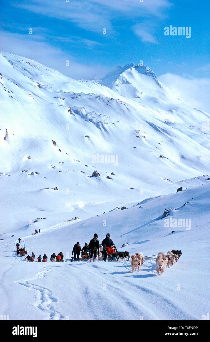 Inuits with dog sledgies travelling uphill, lightweight flexible sledges are used for travel in mountains, East Greenland, Greenland Stock Photo