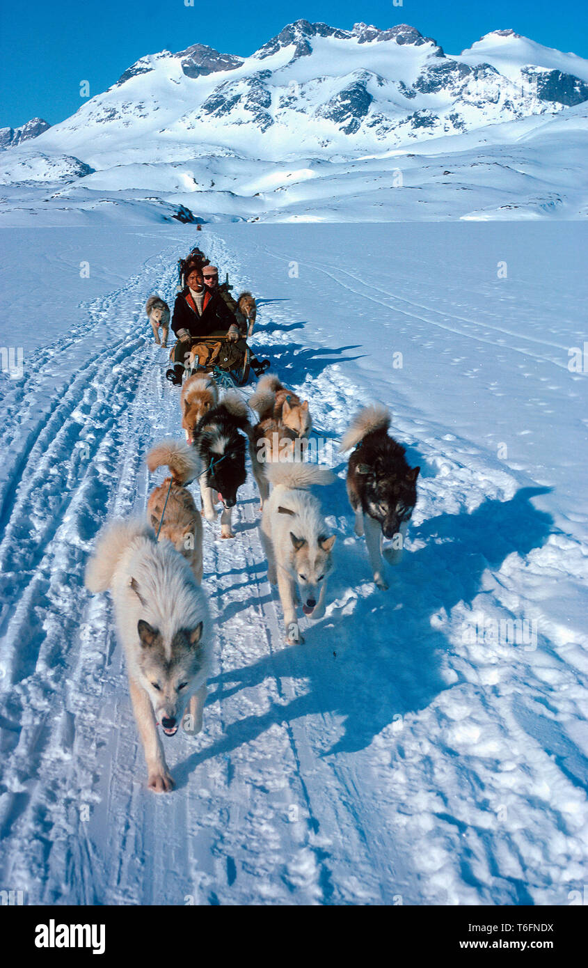 Inuits with dog sledgies travelling uphill, lightweight flexible sledges are used for travel in mountains, East Greenland, Greenland Stock Photo