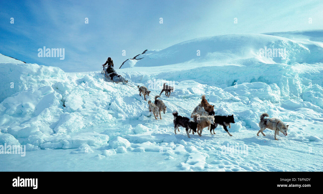 Inuits with dog sledgies travelling uphill, lightweight flexible sledges are used for travel in mountains, East Greenland, Greenland Stock Photo