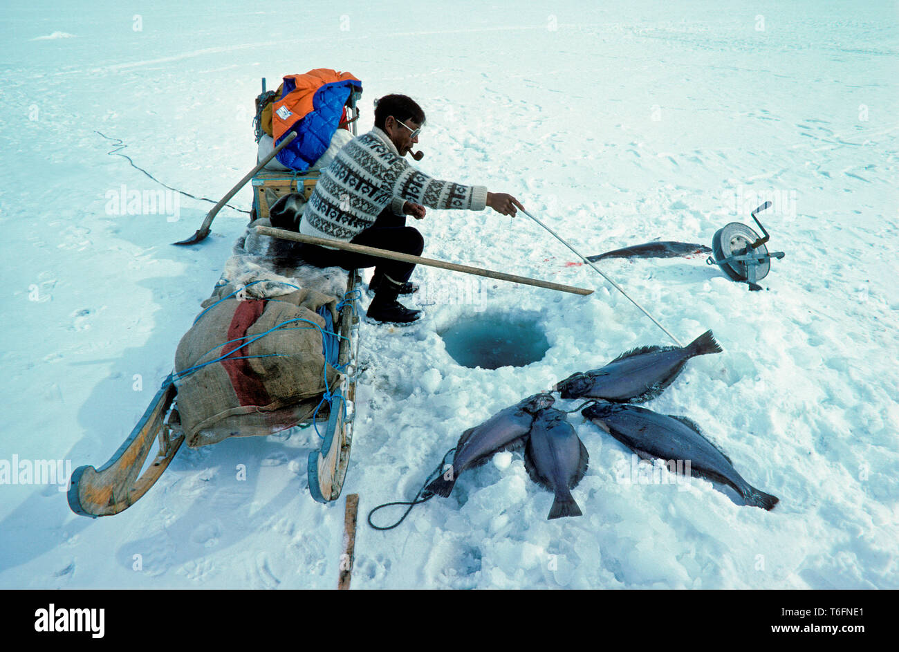 Inuit deep sea fishing for Halibut (Pleuronectiformes) through holes in sea ice, Quernalursavik, East Greenland, Greenland Stock Photo