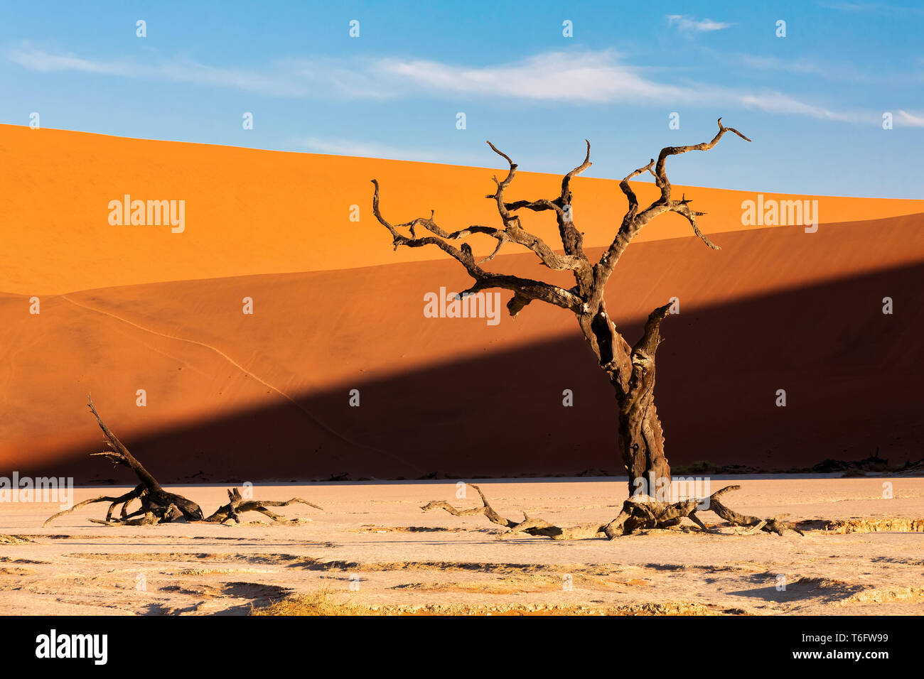 Dead Vlei landscape in Sossusvlei, Namibia Stock Photo - Alamy